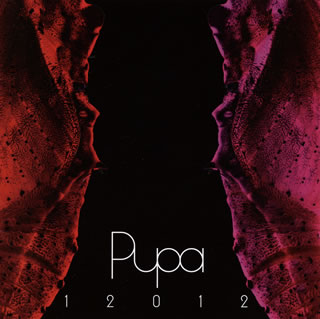 CD)12012/Pupa 2007～2010（ＤＶＤ付）(UPCY-6796)(2013/12/11発売)