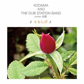 CD)KODAMA AND THE DUB STATION BAND/COVER曲集 ♪ともしび♪(KURASHI-7)(2023/10/04発売)