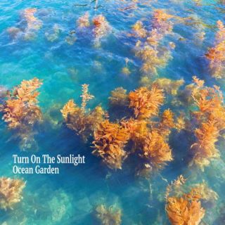 CD)Turn On The Sunlight/Ocean Garden(RINC-118)(2024/03/20発売)