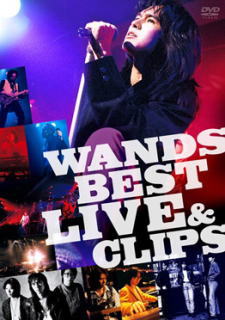 DVD)WANDS/BEST LIVE&CLIPS〈2枚組〉(JBBS-5003)(2012/08/08発売)