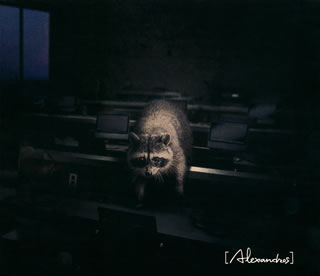 CD)[Alexandros]/Beast（(初回限定盤 2DISCS CD+Blu-ray)）（Blu-ray付）(UPCH-7574)(2020/11/11発売)