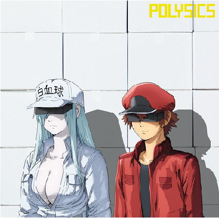 CD)POLYSICS/走れ! with ヤマサキセイヤ(キュウソネコカミ)（初回出荷限定盤）（ＤＶＤ付）(KSCL-3288)(2021/02/24発売)