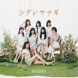 CD)NMB48/シダレヤナギ(Type-B)（ＤＶＤ付）(YRCS-90193)(2021/06/16発売)【初回／特典あり】