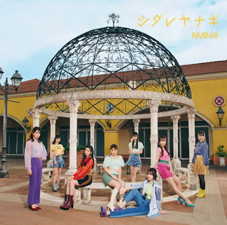 CD)NMB48/シダレヤナギ(Type-C)（ＤＶＤ付）(YRCS-90194)(2021/06/16発売)