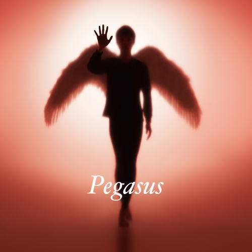 CD)布袋寅泰/Pegasus（通常盤）(TYCT-30123)(2021/06/30発売)