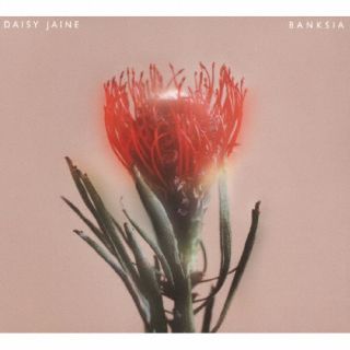 CD)Daisy Jaine/Banksia(DAISY-1)(2021/11/17発売)