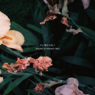CD)SHUNICHI YANAGI TRIO/Y’s TRIO VOL.1(GNPR-1190)(2022/11/02発売)