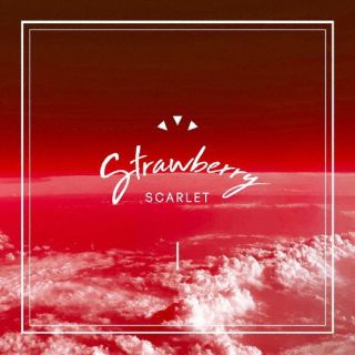 CD)strawberry/SCARLET(KOGA-242)(2022/12/14発売)