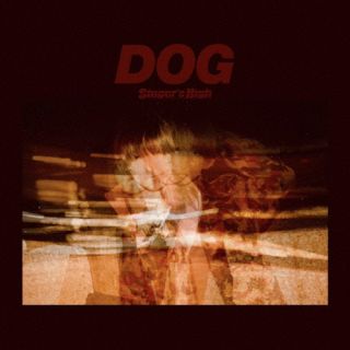 CD)シンガーズハイ/DOG(NOIS-5)(2023/05/24発売)