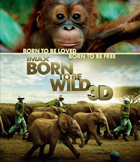 Blu-ray)IMAX:Born To Be Wild 3D-野生に生きる-(’11米)(1000368709)(2013/02/06発売)
